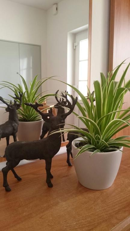 Gartler'S Ferienhaus Weitersfeld an der Mur Εξωτερικό φωτογραφία